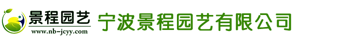 廣東健倫體育發(fā)展有限公司